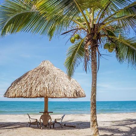 Uuttaaka Eco-Hotel パロミノ エクステリア 写真