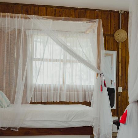 Uuttaaka Eco-Hotel パロミノ エクステリア 写真