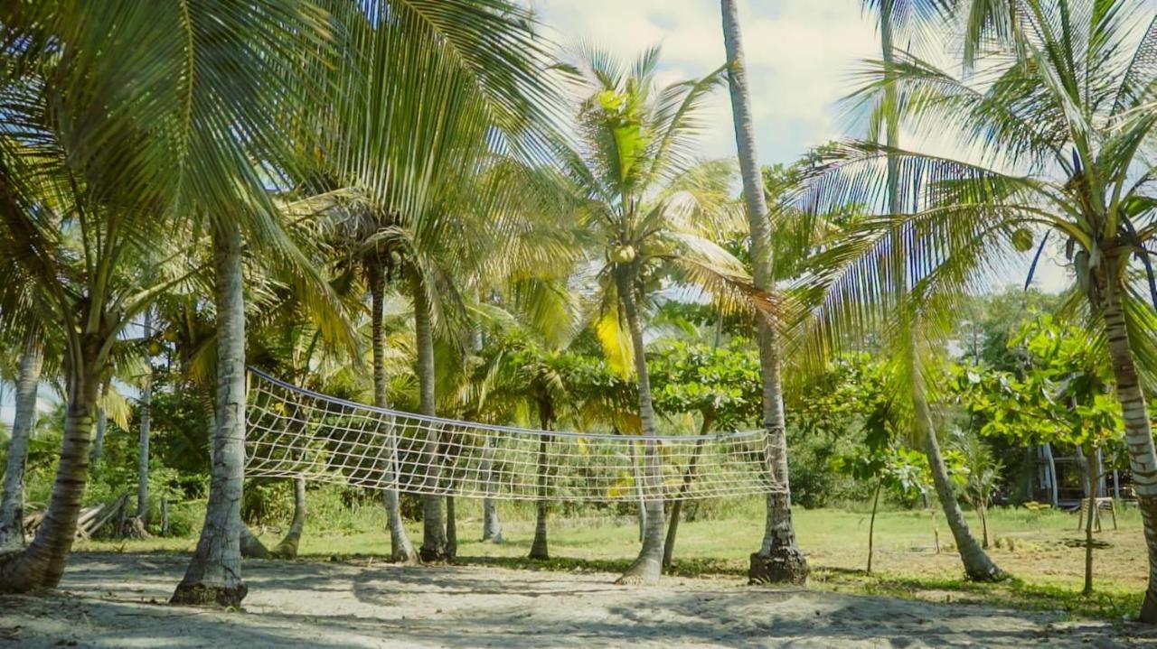 Uuttaaka Eco-Hotel パロミノ エクステリア 写真
