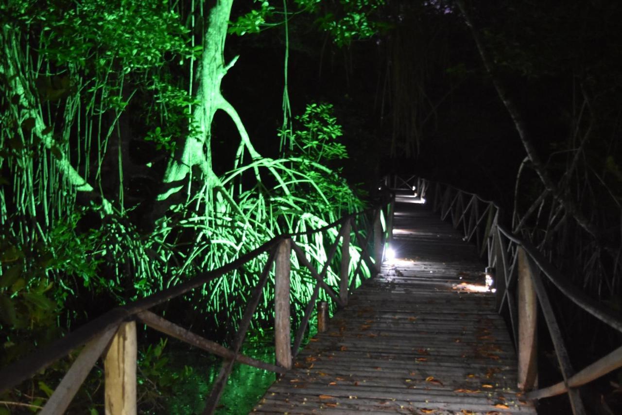 Uuttaaka Eco-Hotel パロミノ エクステリア 写真