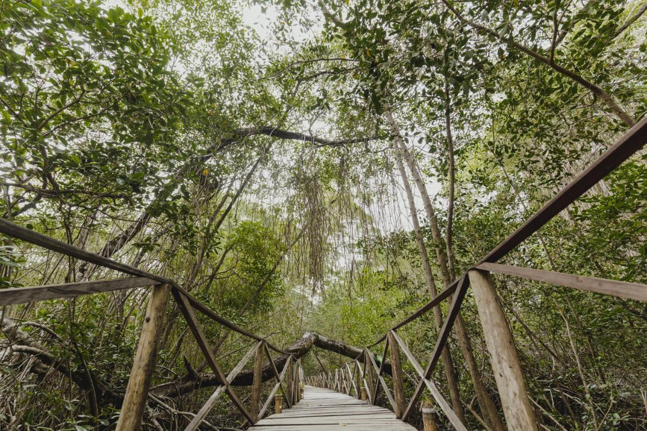 Uuttaaka Eco-Hotel パロミノ エクステリア 写真