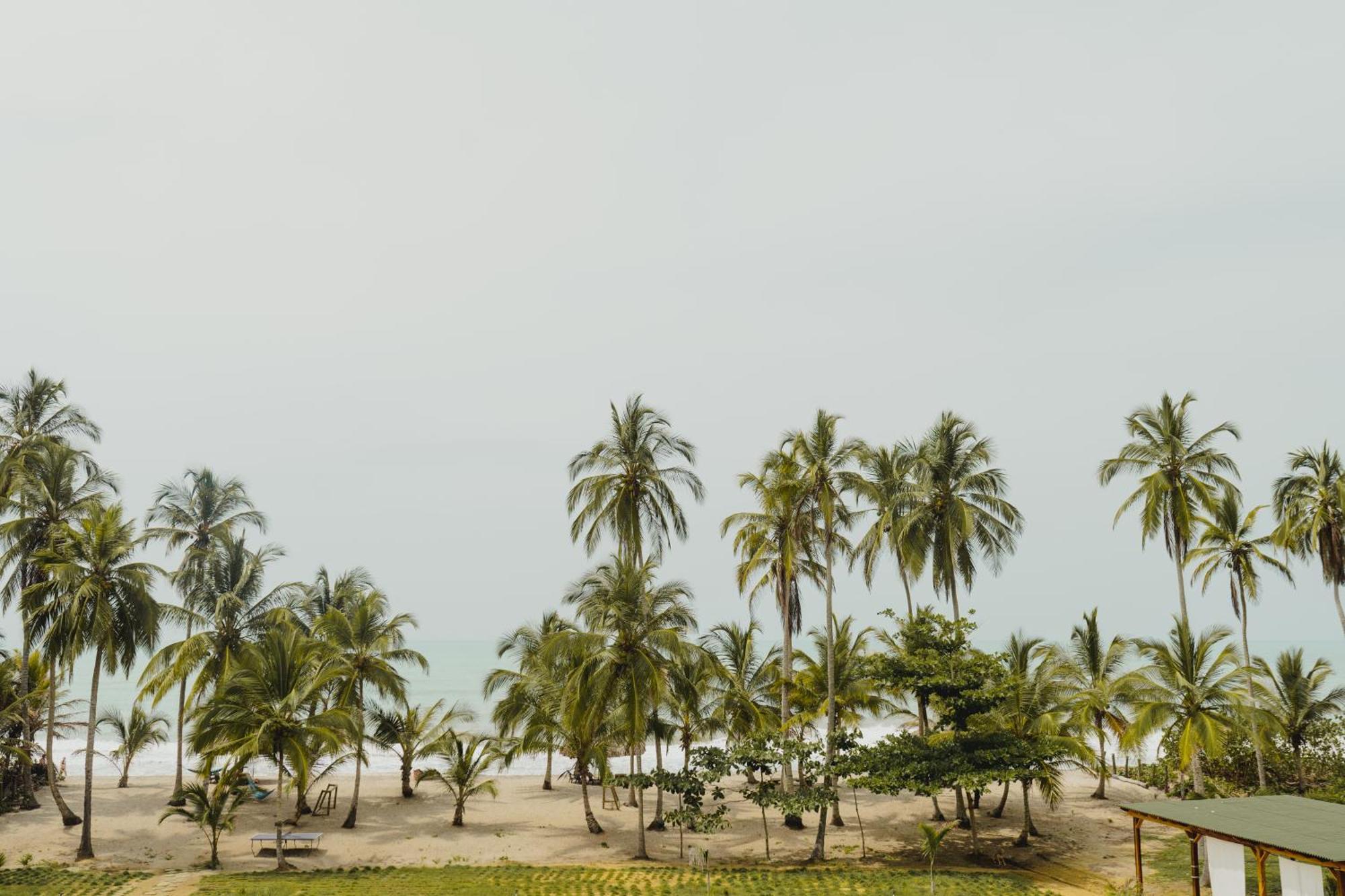 Uuttaaka Eco-Hotel パロミノ エクステリア 写真