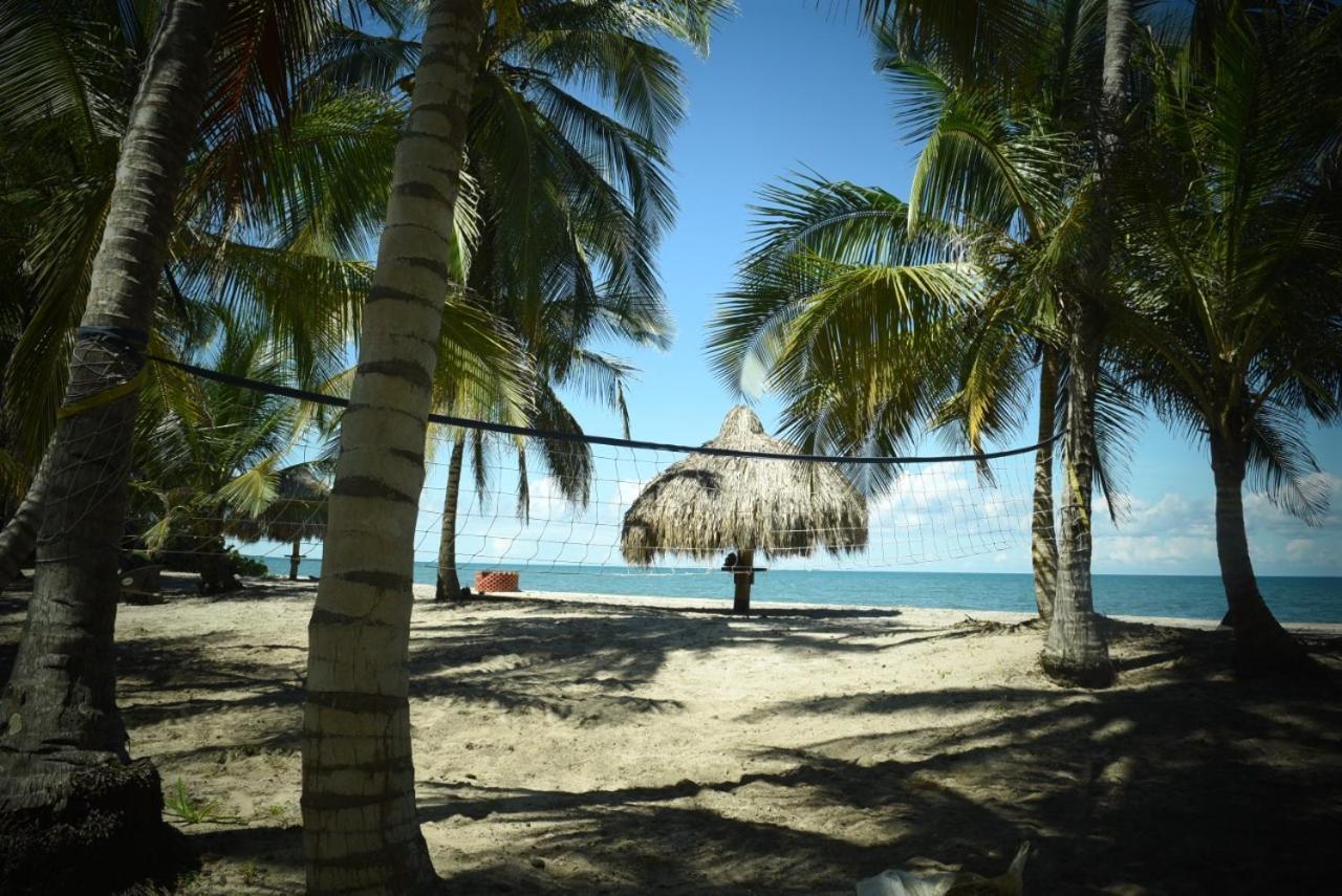 Uuttaaka Eco-Hotel パロミノ エクステリア 写真