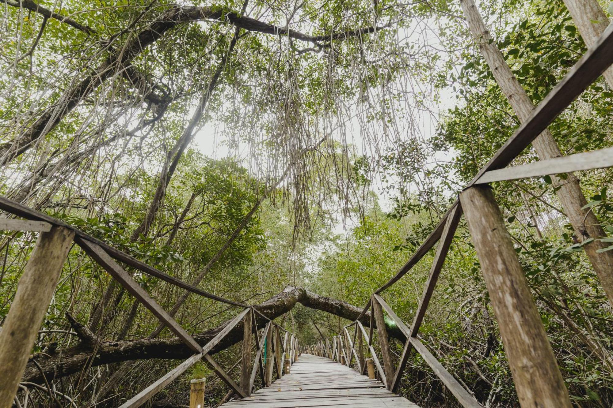 Uuttaaka Eco-Hotel パロミノ エクステリア 写真