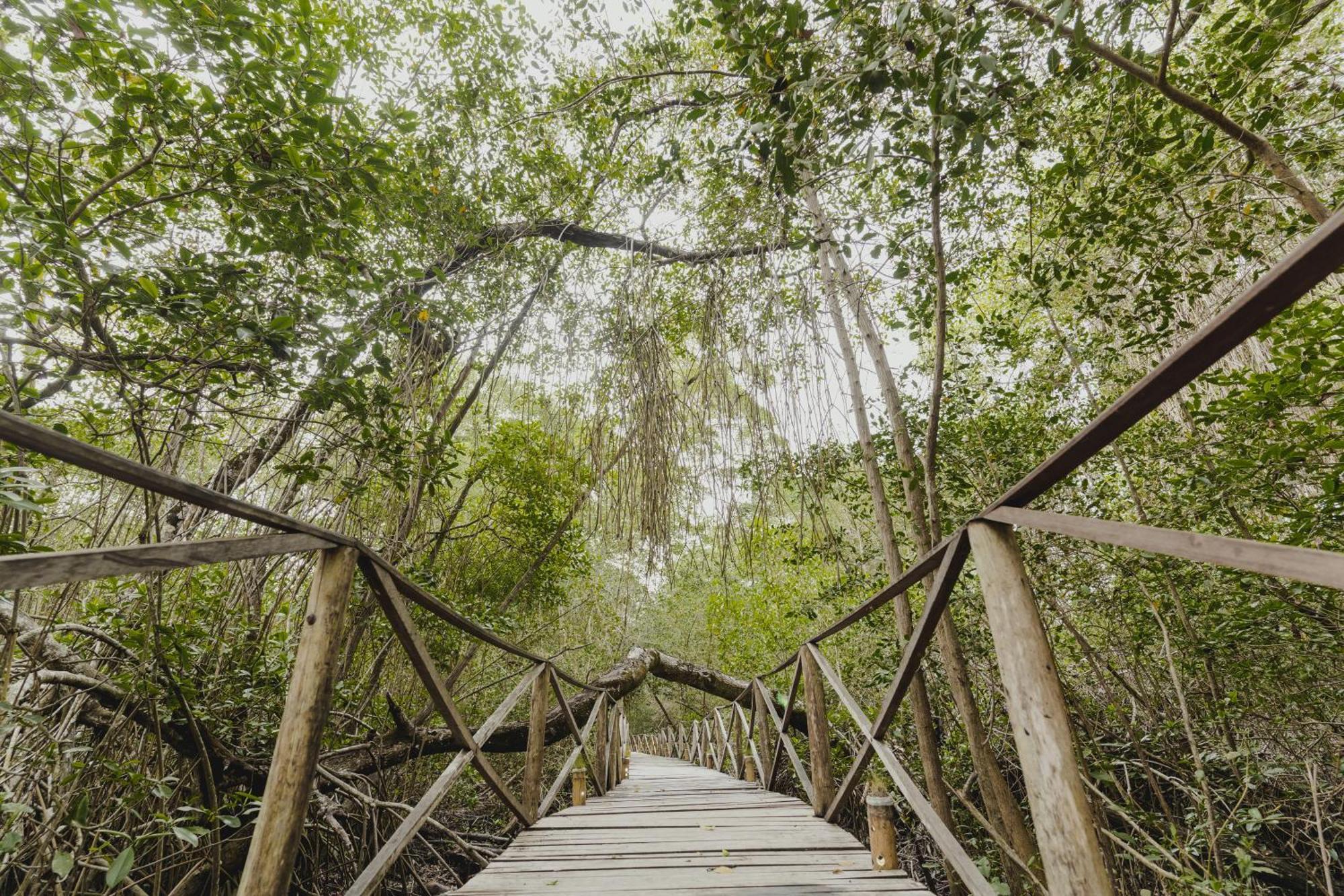 Uuttaaka Eco-Hotel パロミノ エクステリア 写真