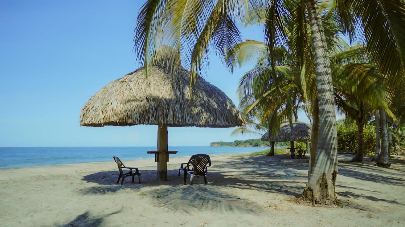 Uuttaaka Eco-Hotel パロミノ エクステリア 写真