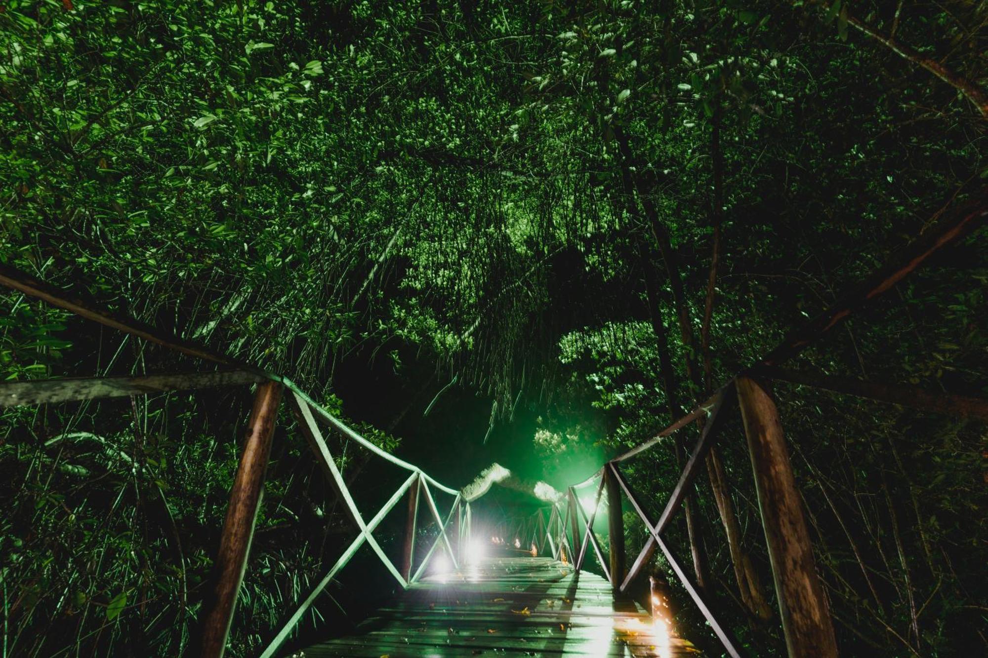 Uuttaaka Eco-Hotel パロミノ エクステリア 写真